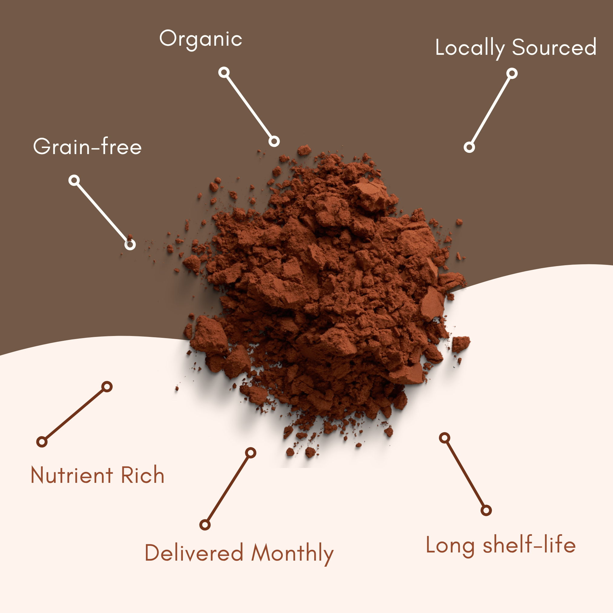 cacao-powder