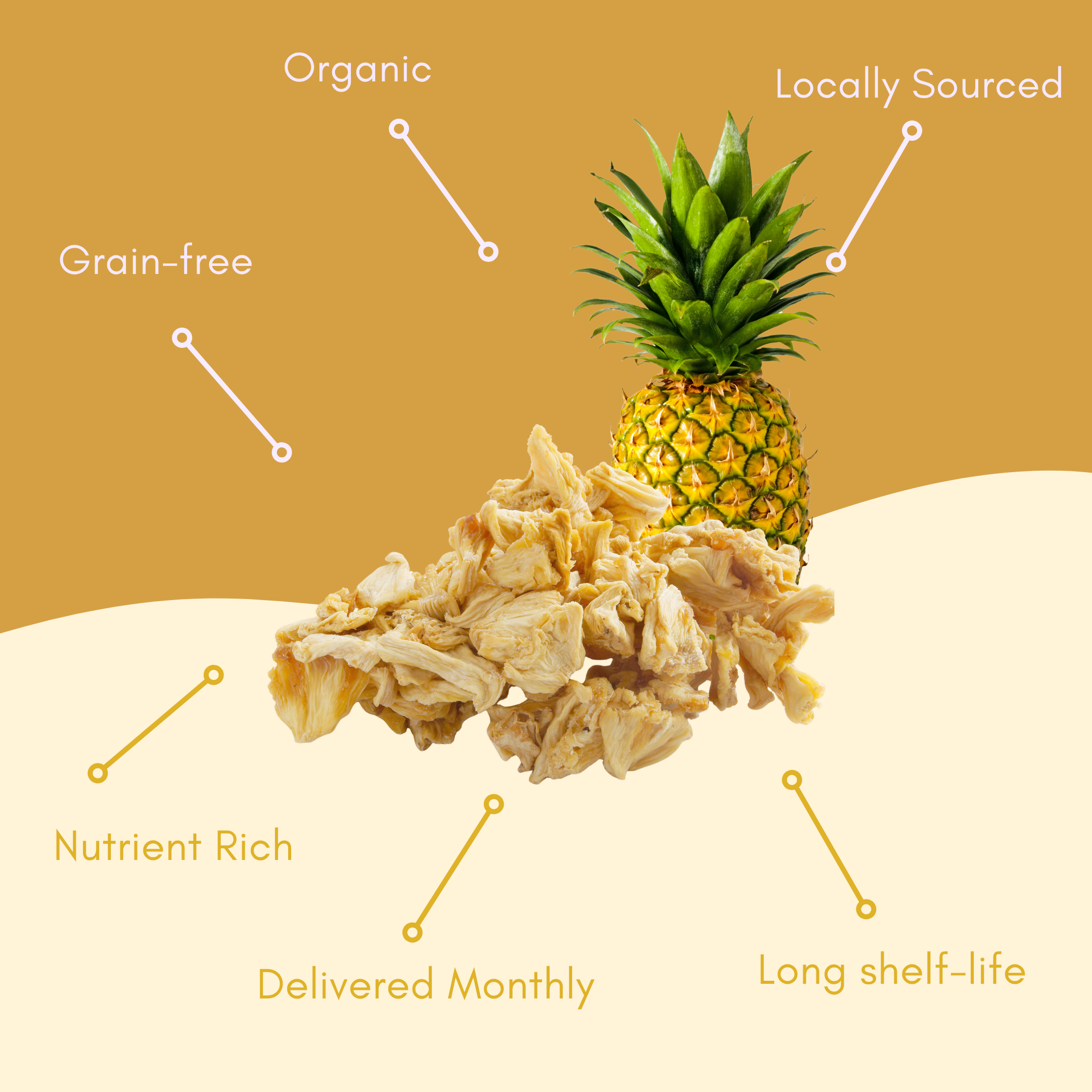 dried-pineapple